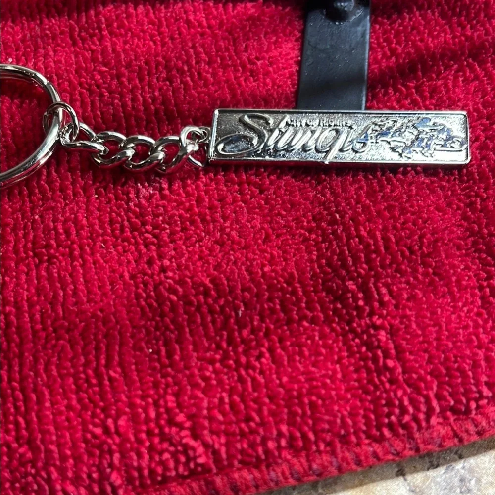 Sleek Sturgis Key ring with Chain Link